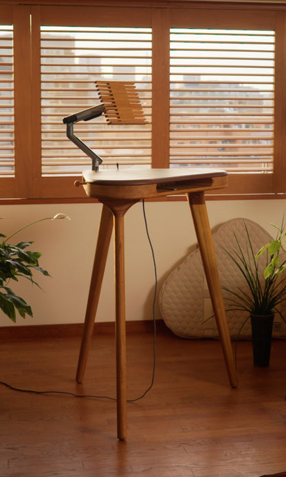 TANKEN The Standing Desk