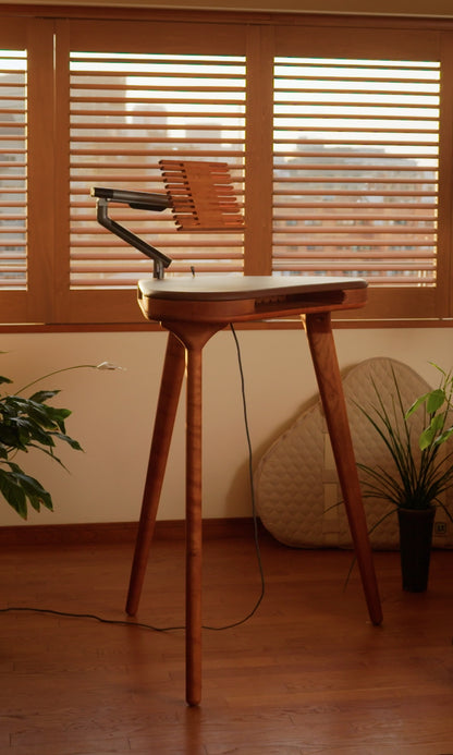 TANKEN The Standing Desk